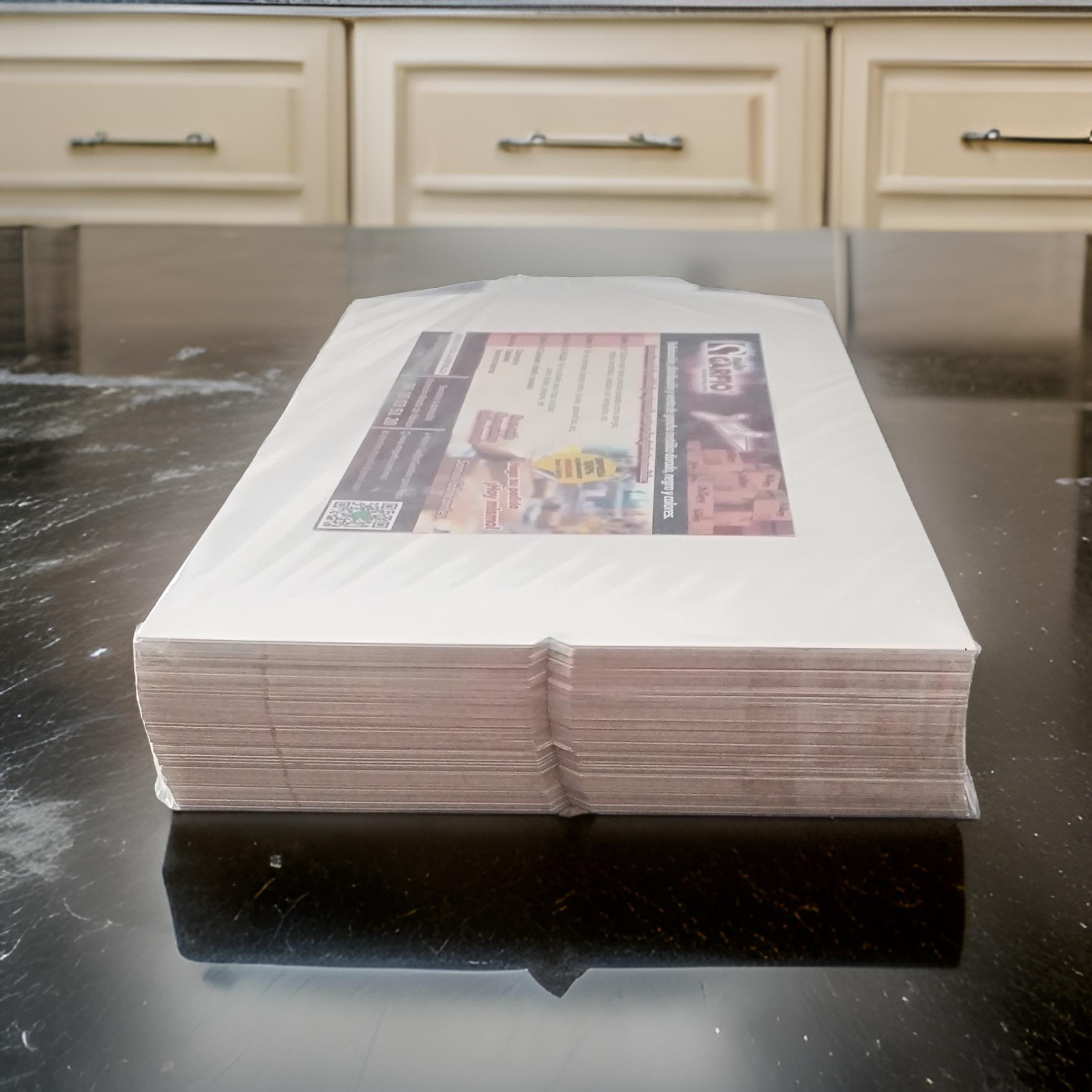 ALMA PARA CAMISA 21X39 100 P. I02-01