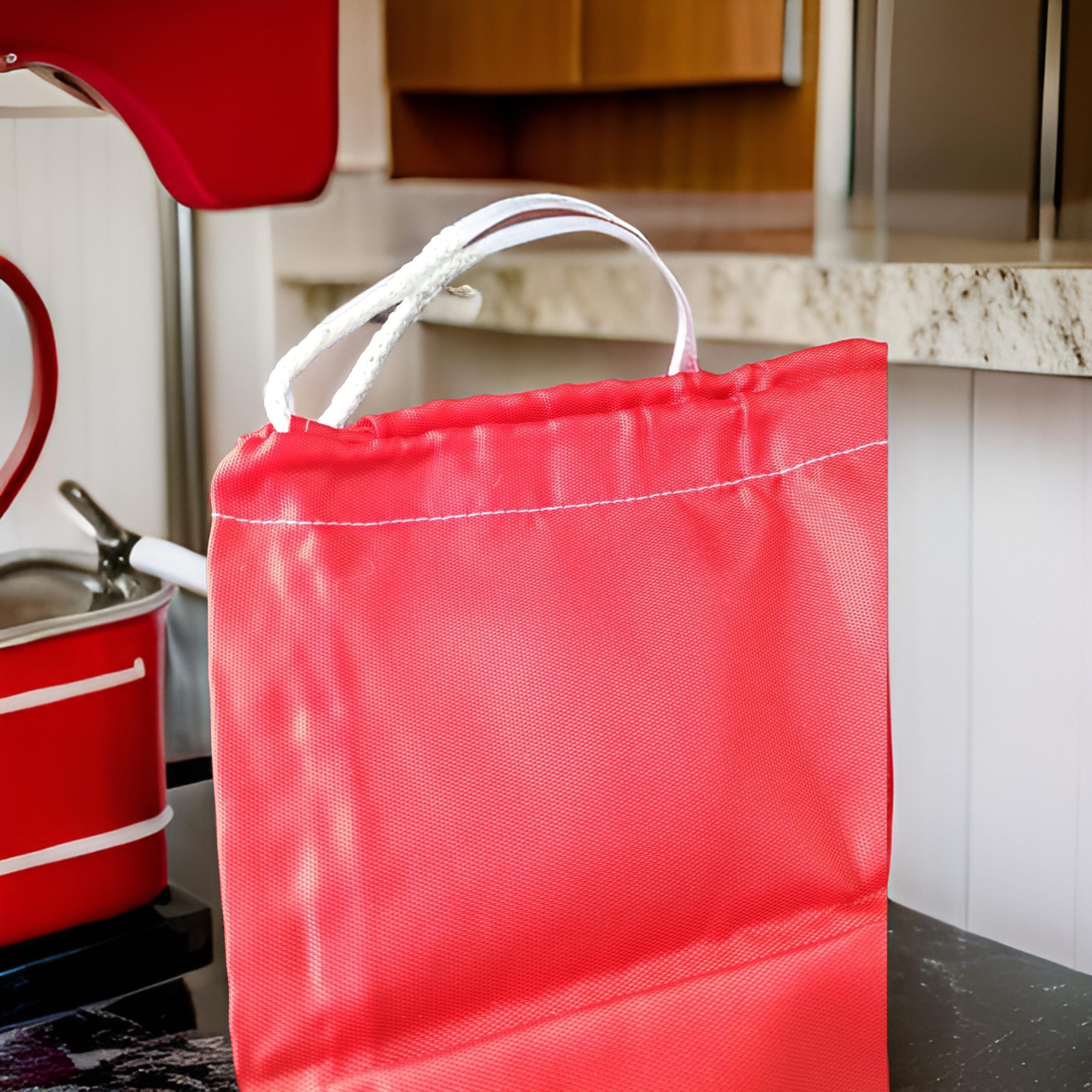 BOLSA MEDIANA COSTAL RECEPCION PZA. B09-01 (2)