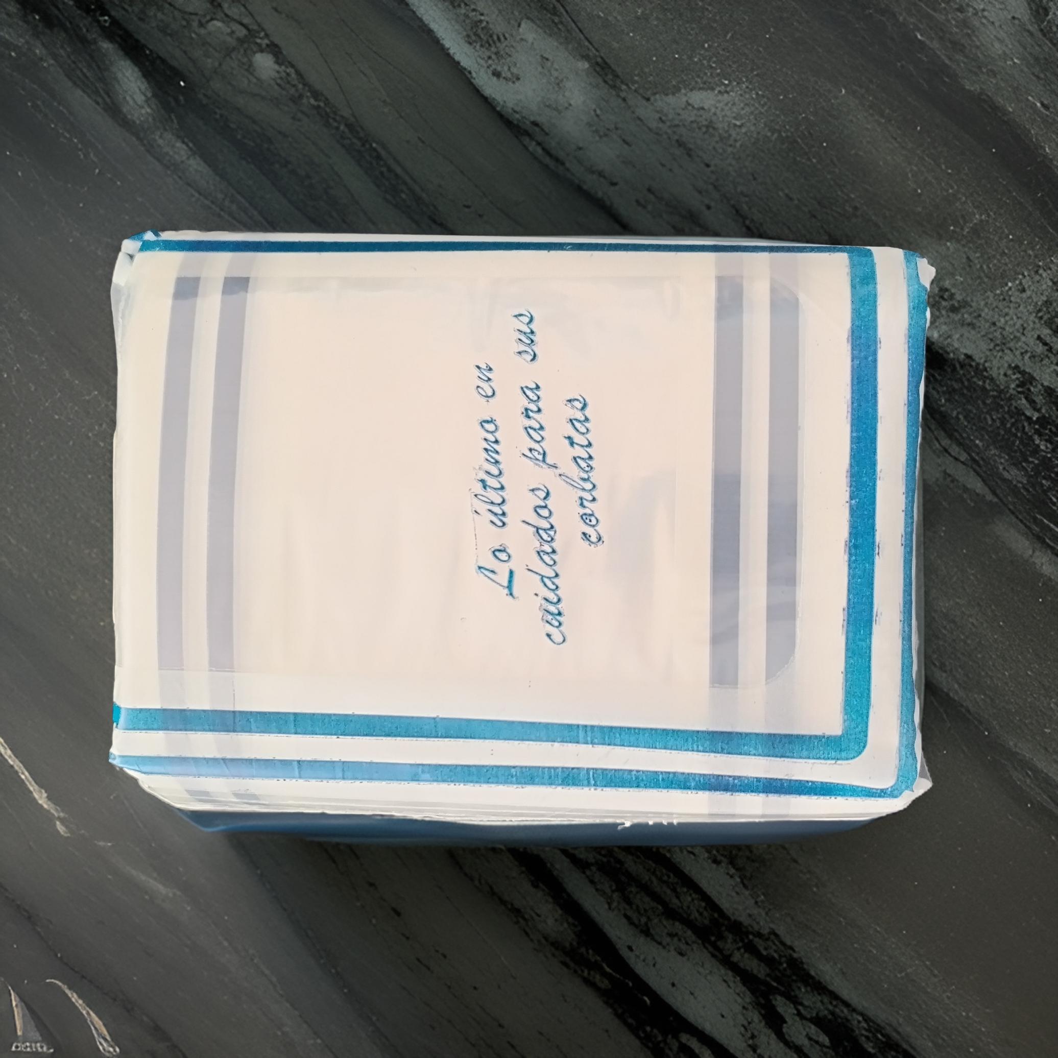 BOLSA P-CORBATA PAQ. 100 P. B03-01 (2)